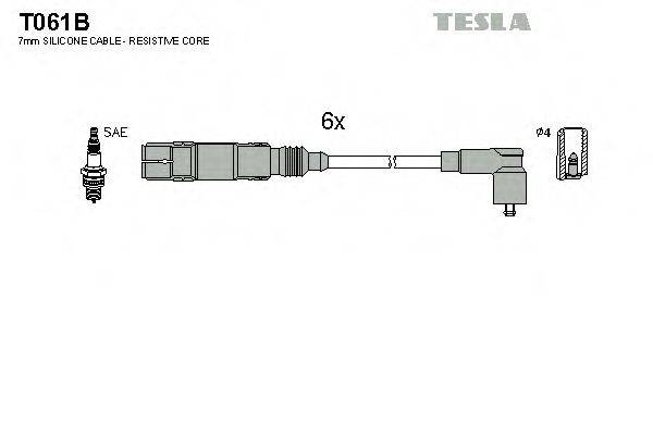 TESLA T061B