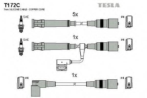 TESLA T172C