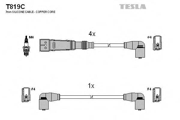 TESLA T819C