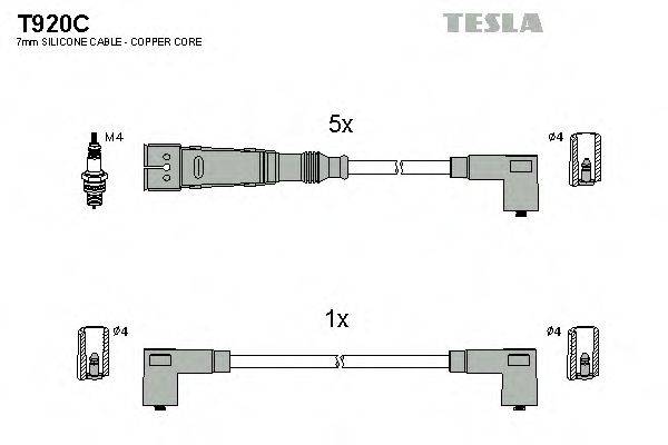 TESLA T920C