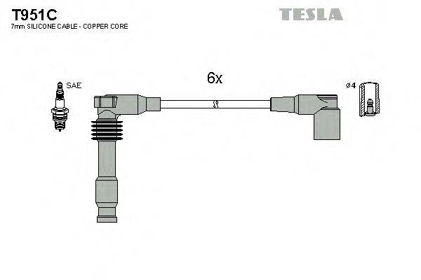 TESLA T951C