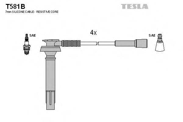 TESLA T581B