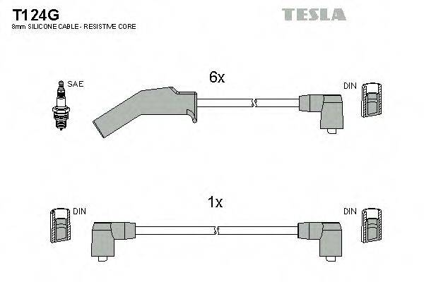 TESLA T124G