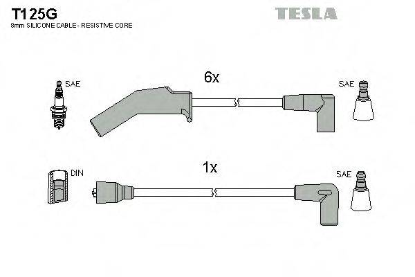 TESLA T125G