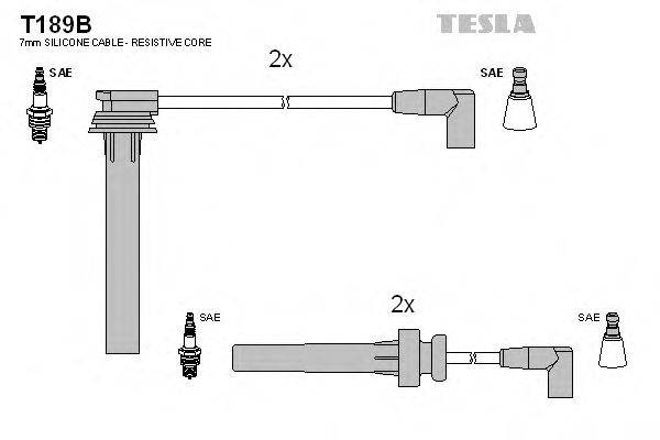 TESLA T189B