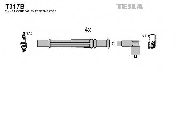 TESLA T317B