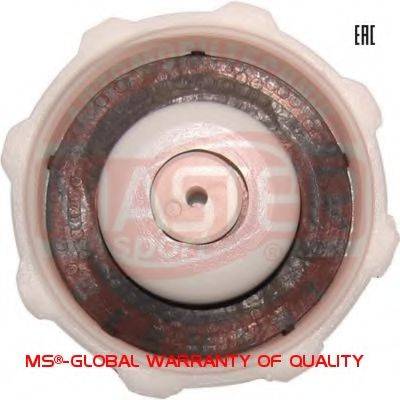 MASTER-SPORT 8200048024-PCS-MS