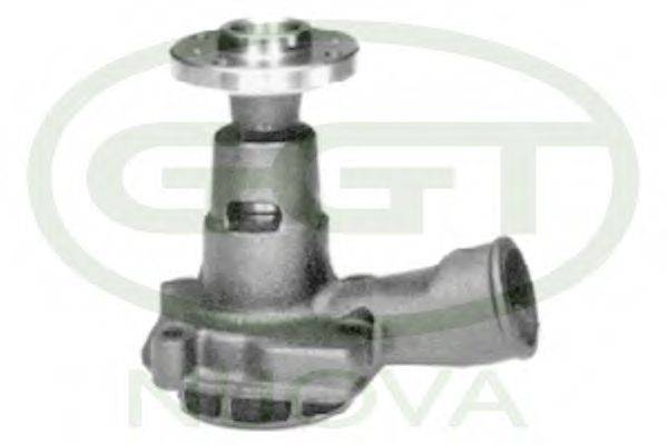 GGT PA11233