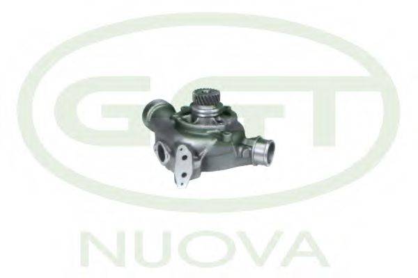 GGT PA10699