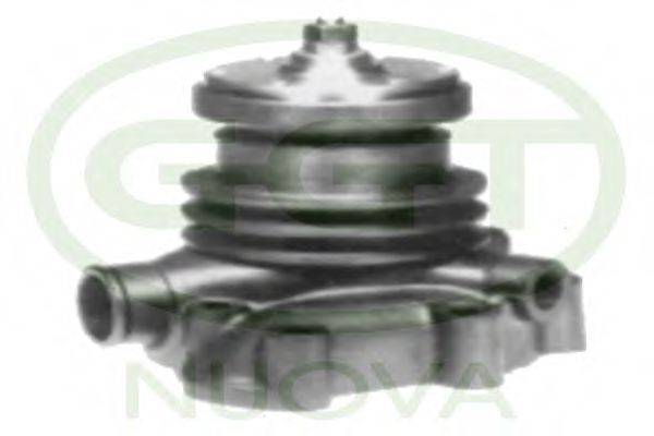GGT PA12186
