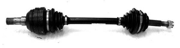 DEPA 3334600