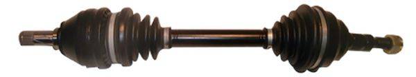 DEPA 3332002