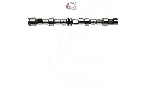 CAMPRO CP12243