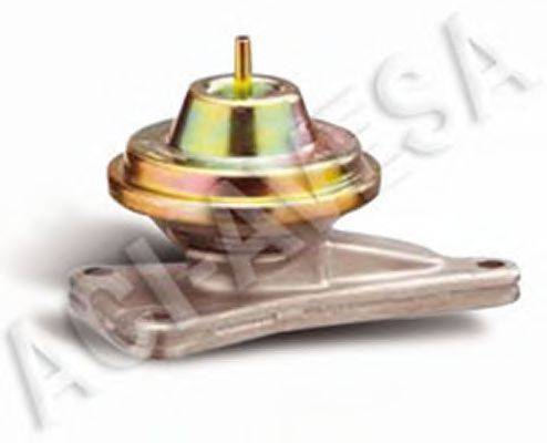 ACI - AVESA AEGR-641