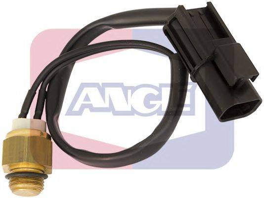 ANGLI 16206