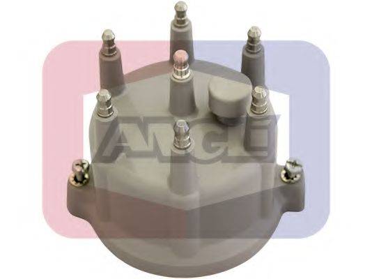 ANGLI 2419-P