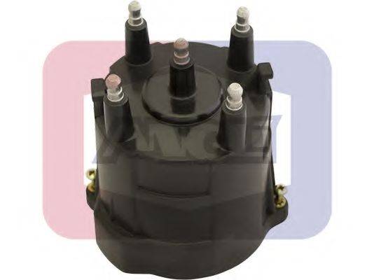 ANGLI 2452-P