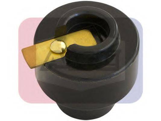 ANGLI 3259