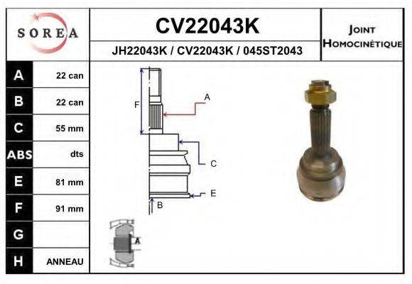 EAI CV22043K