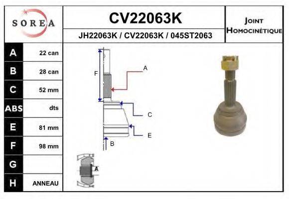 EAI CV22063K