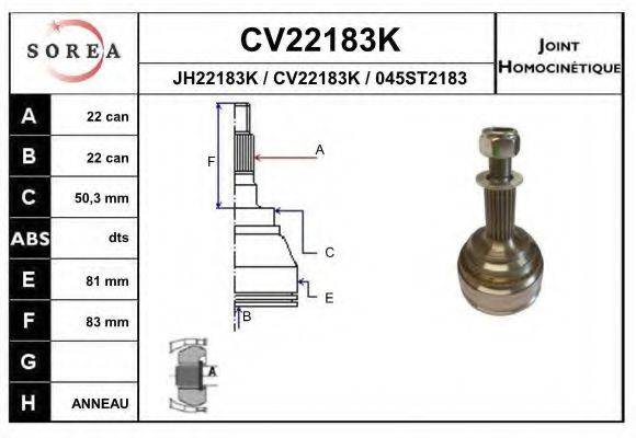 EAI CV22183K