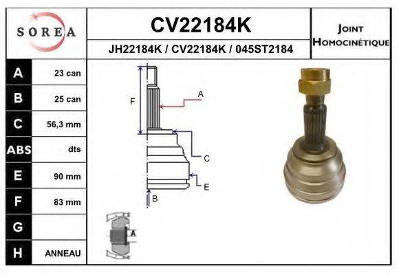 EAI CV22184K