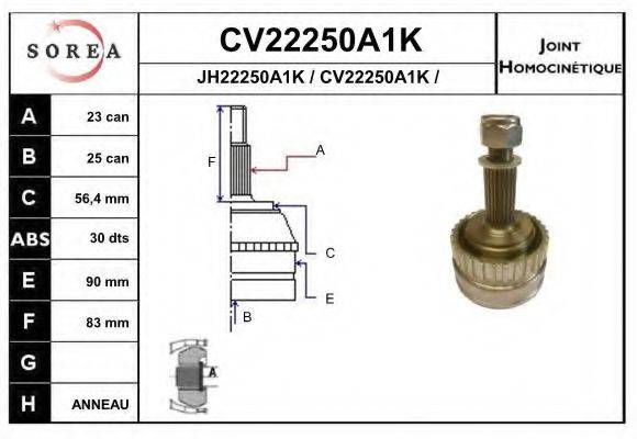 EAI CV22250A1K