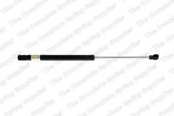 ROC GS1010
