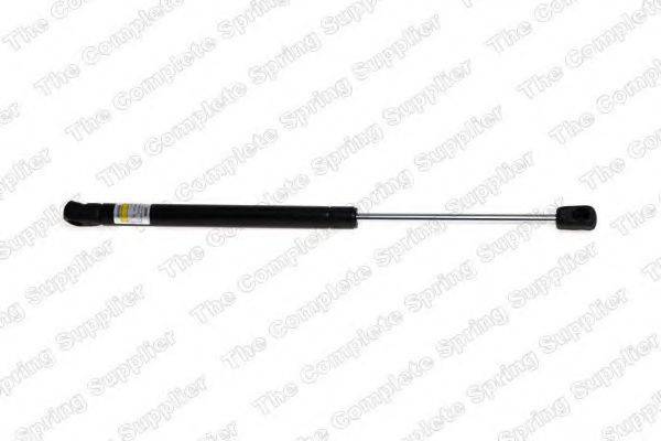 ROC GS1013