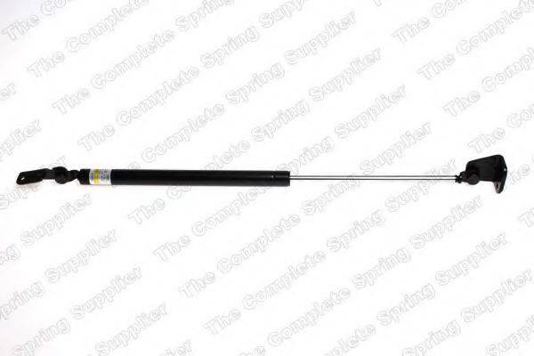 ROC GS1056