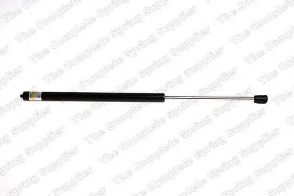 ROC GS1061
