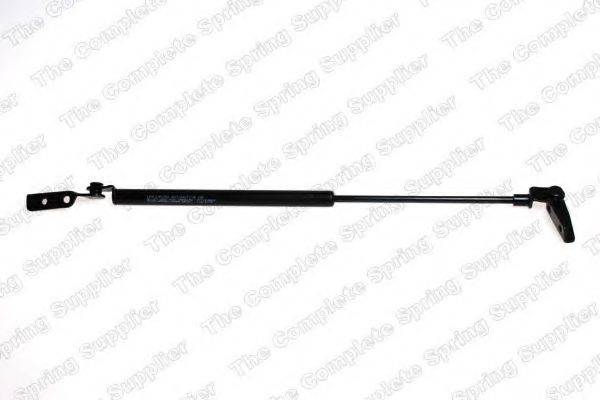 ROC GS0808