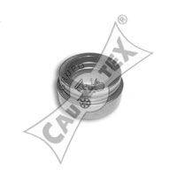 CAUTEX 020496