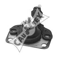 CAUTEX 020408