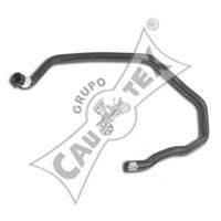 CAUTEX 031353