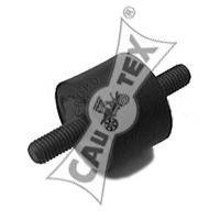 CAUTEX 060065 Підвіска, радіатор