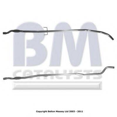 BM CATALYSTS BM50163