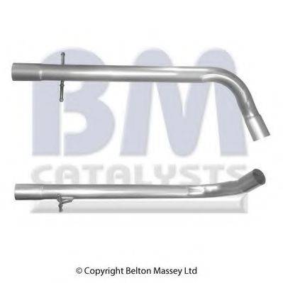 BM CATALYSTS BM50253