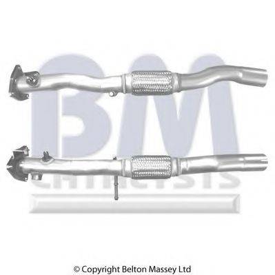 BM CATALYSTS BM50309