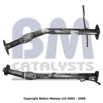 BM CATALYSTS BM50098