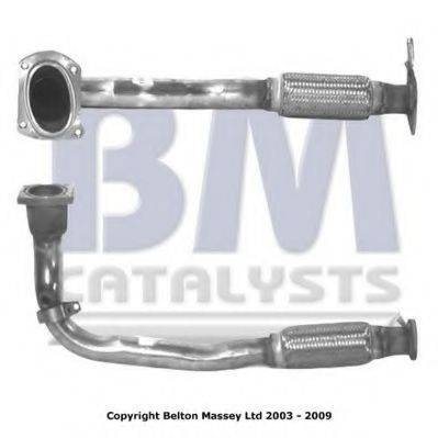 BM CATALYSTS BM70048