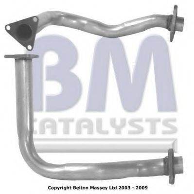 BM CATALYSTS BM70174
