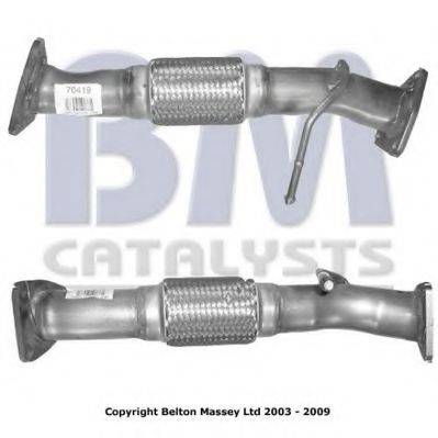BM CATALYSTS BM70419