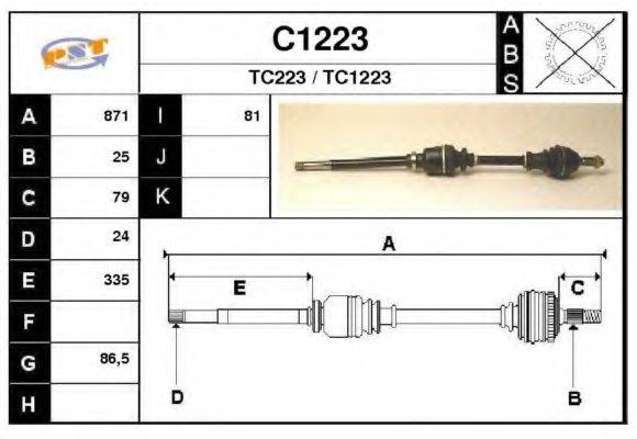 SNRA C1223