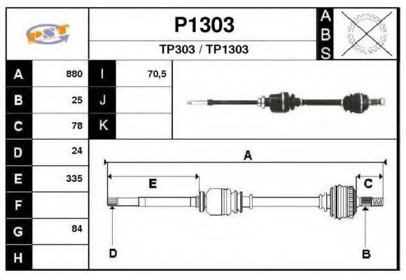 SNRA P1303