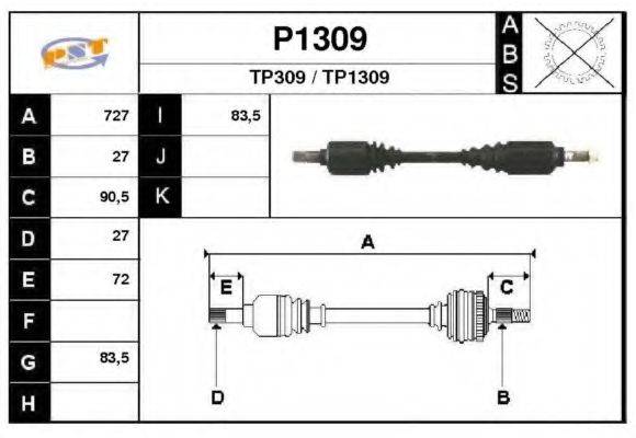 SNRA P1309