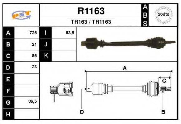 SNRA R1163