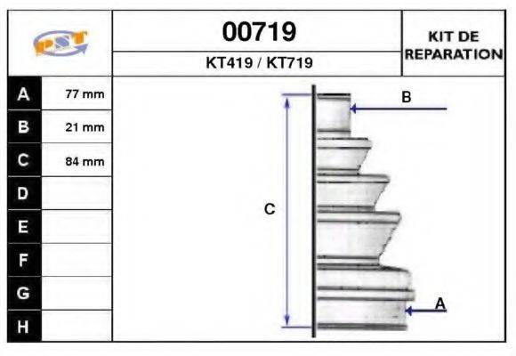 SNRA 00719