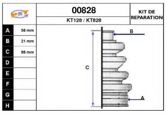 SNRA 00828