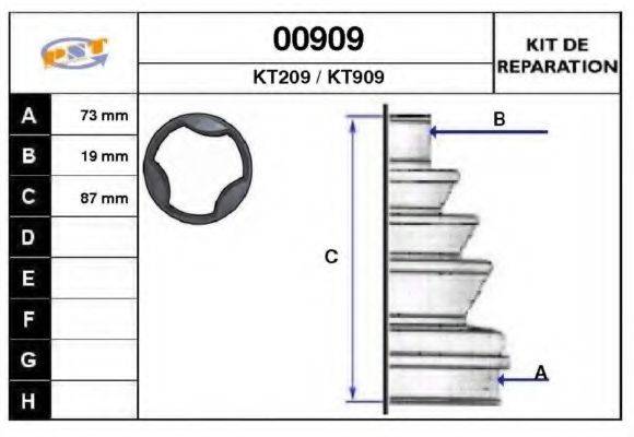 SNRA 00909